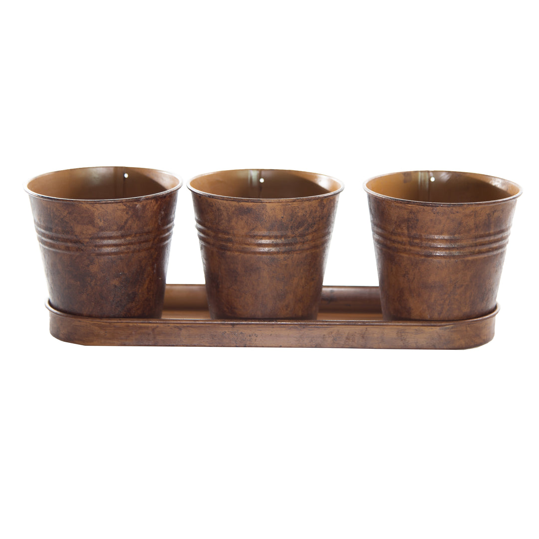 Gardener Select® Farmhouse Collection 4 in. Pot and Tray Set