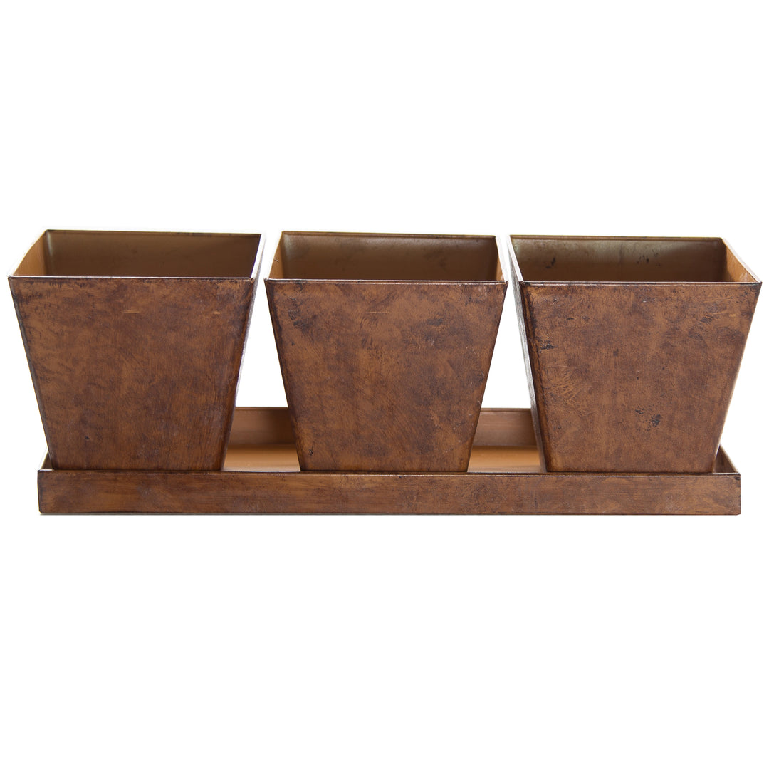 Gardener Select® Farmhouse Collection 4 in. Pot and Tray Set