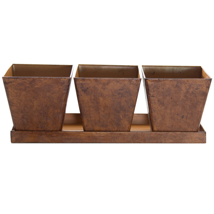 Gardener Select® Farmhouse Collection 4 in. Pot and Tray Set