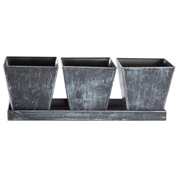 Gardener Select® Farmhouse Collection 4 in. Pot and Tray Set