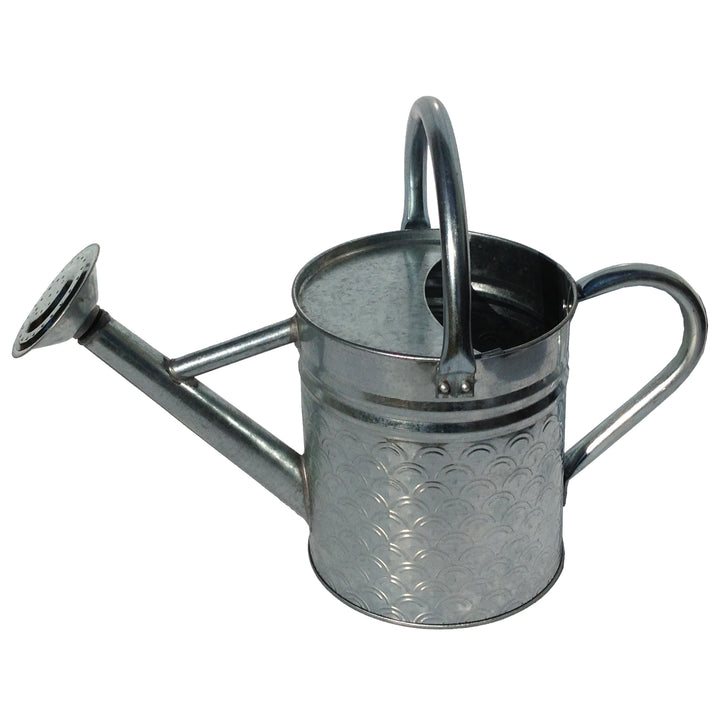 Gardener Select® Embossed Watering Can