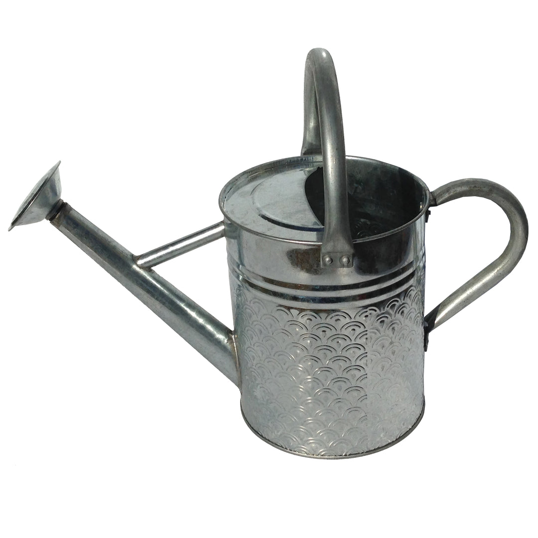 Gardener Select® Embossed Watering Can